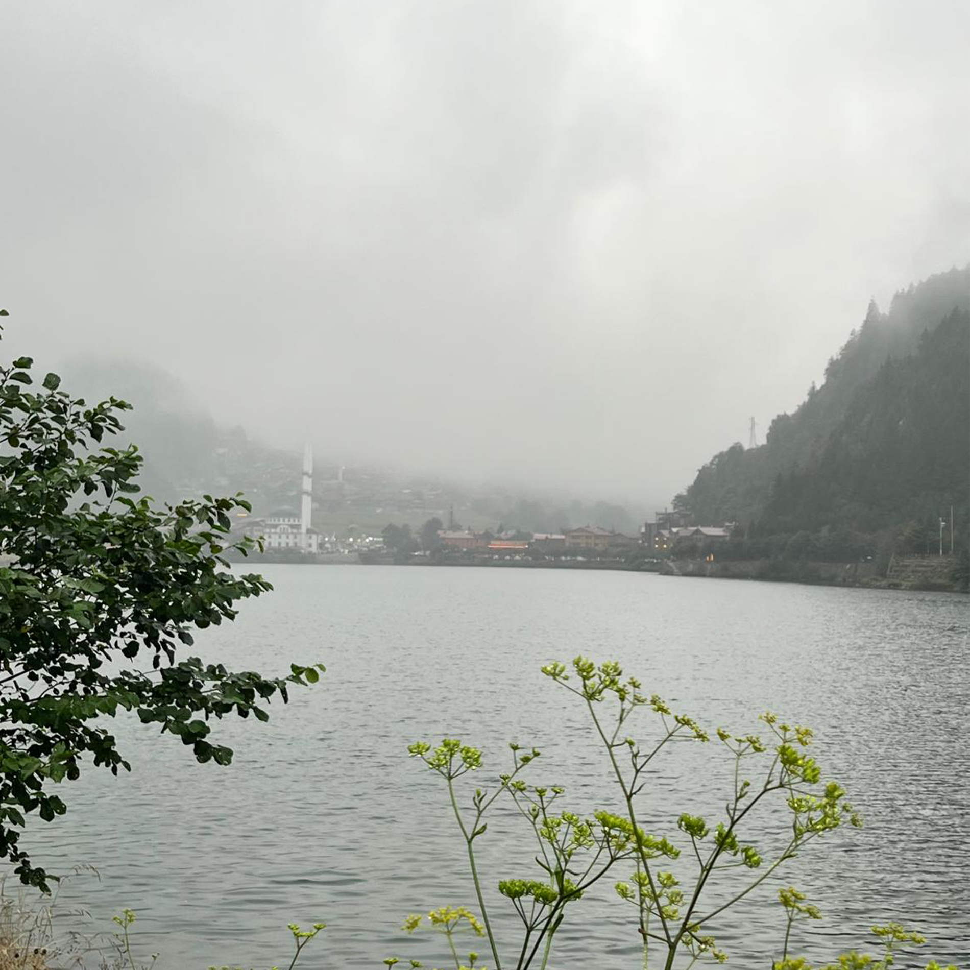 Ânı Hissetmek