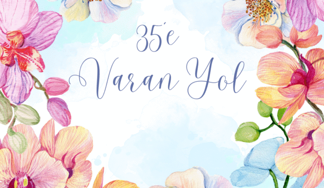 35’e Varan Yol...